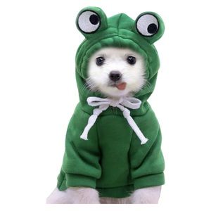 Fashion with an Overload of Cuteness Frog Sweater Pets